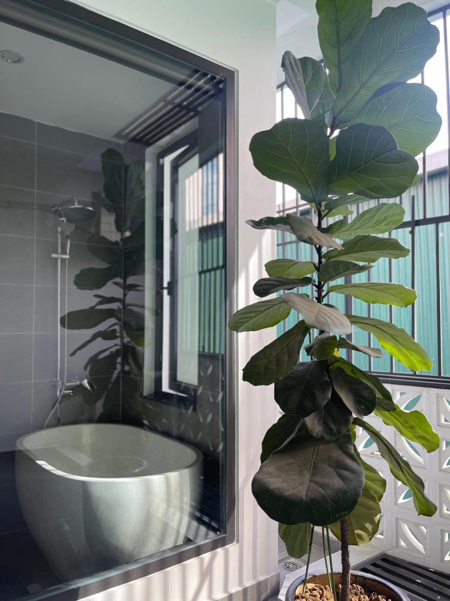 Alala Homestay- Trung Tam Thanh Pho Tuyen Quang- Tuyen Quang City Center Ngoại thất bức ảnh